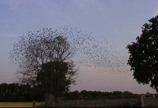 Aufgenommenes Einzelbild (Frame) 8